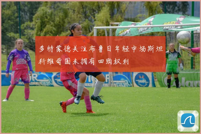 多特蒙德关注布鲁日年轻中场斯坦科维奇国米拥有回购权利