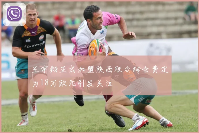 王宇翔正式加盟陕西联合转会费定为18万欧元引发关注