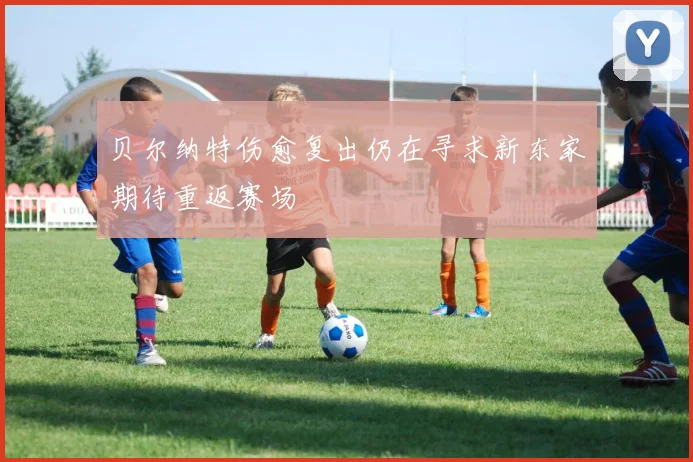 贝尔纳特伤愈复出仍在寻求新东家期待重返赛场