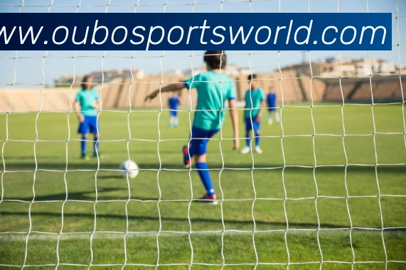 欧宝体育平台生态图